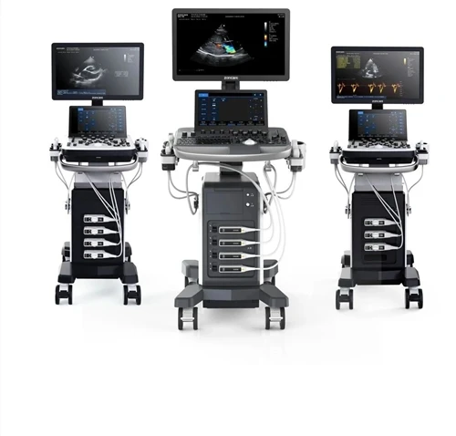 Zoncare Hosts 2026 Global Pet Ultrasound Online Training Series (China)
