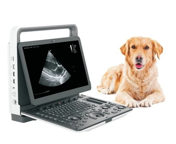 Veterinary Portable Color Doppler Ultrasound System